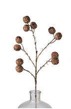 Load image into Gallery viewer, Walnut Stem 25"