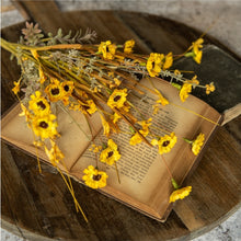 Load image into Gallery viewer, Yellow Daisy Bush ~22"