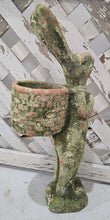 Load image into Gallery viewer, Aged Gathering Rabbit Statue