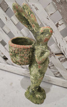 Load image into Gallery viewer, Aged Gathering Rabbit Statue