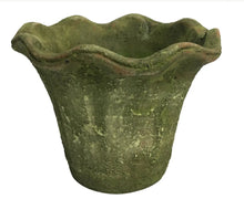 Load image into Gallery viewer, Aged Mossy Garden Ruffled Edge Pot