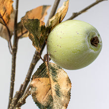 Load image into Gallery viewer, Apple and Leaves Stem 37" | Vintage Character