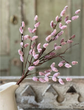 Load image into Gallery viewer, Blushing Pink Catkin Willow Bud Stem