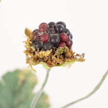 Load image into Gallery viewer, Faux Wild Blackberry Spray Stem | Vintage Character