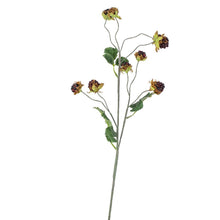 Load image into Gallery viewer, Faux Wild Blackberry Spray Stem | Vintage Character