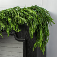 Load image into Gallery viewer, Christmas Frosted Norfolk Pine Garland 65"