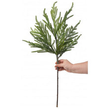 Load image into Gallery viewer, Christmas Norfolk Pine Stems~ Bundle of 6 | Vintage Character