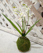 Load image into Gallery viewer, Faux White Orchid Moss Ball Plant