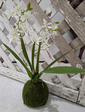 Load image into Gallery viewer, Faux White Orchid Moss Ball Plant