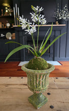 Load image into Gallery viewer, Aged Mossy Garden Urn ~ Large