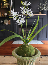 Load image into Gallery viewer, Faux White Orchid Moss Ball Plant