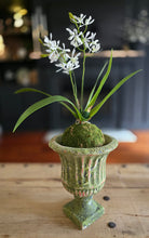 Load image into Gallery viewer, Aged Mossy Garden Urn ~ Large