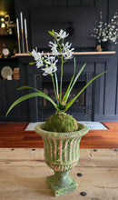 Load image into Gallery viewer, Faux White Orchid Moss Ball Plant