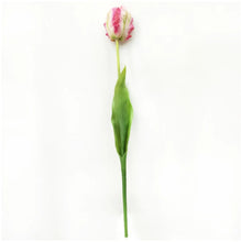 Load image into Gallery viewer, Faux Parrot Tulip ~ Pink