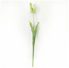 Load image into Gallery viewer, Faux Parrot Tulip ~ Green/White