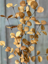 Load image into Gallery viewer, 34" Mustard Yellow Eucalyptus Penny Leaf Spray