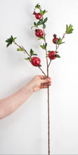 Load image into Gallery viewer, Red Pomegranate Stem ~ 35"