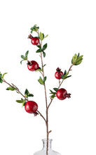 Load image into Gallery viewer, Red Pomegranate Stem ~ 35"