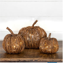 Load image into Gallery viewer, Fall Rattan Lighted Pumpkin~Medium