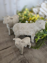 Load image into Gallery viewer, Sheep Family Flock Set of 3
