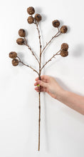 Load image into Gallery viewer, Walnut Stem 25"
