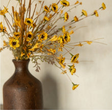Load image into Gallery viewer, Yellow Daisy Bush ~22"
