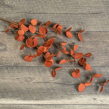 Load image into Gallery viewer, 34" Dark Rust Eucalyptus Spray | Vintage Character