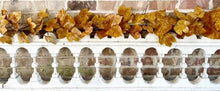 Load image into Gallery viewer, Old Maple Leaves 6ft Garland Fall Decor Aged Dried Leaves Set of 2