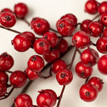 Load image into Gallery viewer, Christmas Holly Crabapple Red Berry Garland